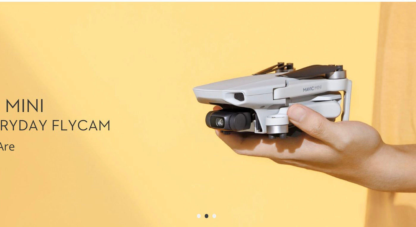 Mavic Mini