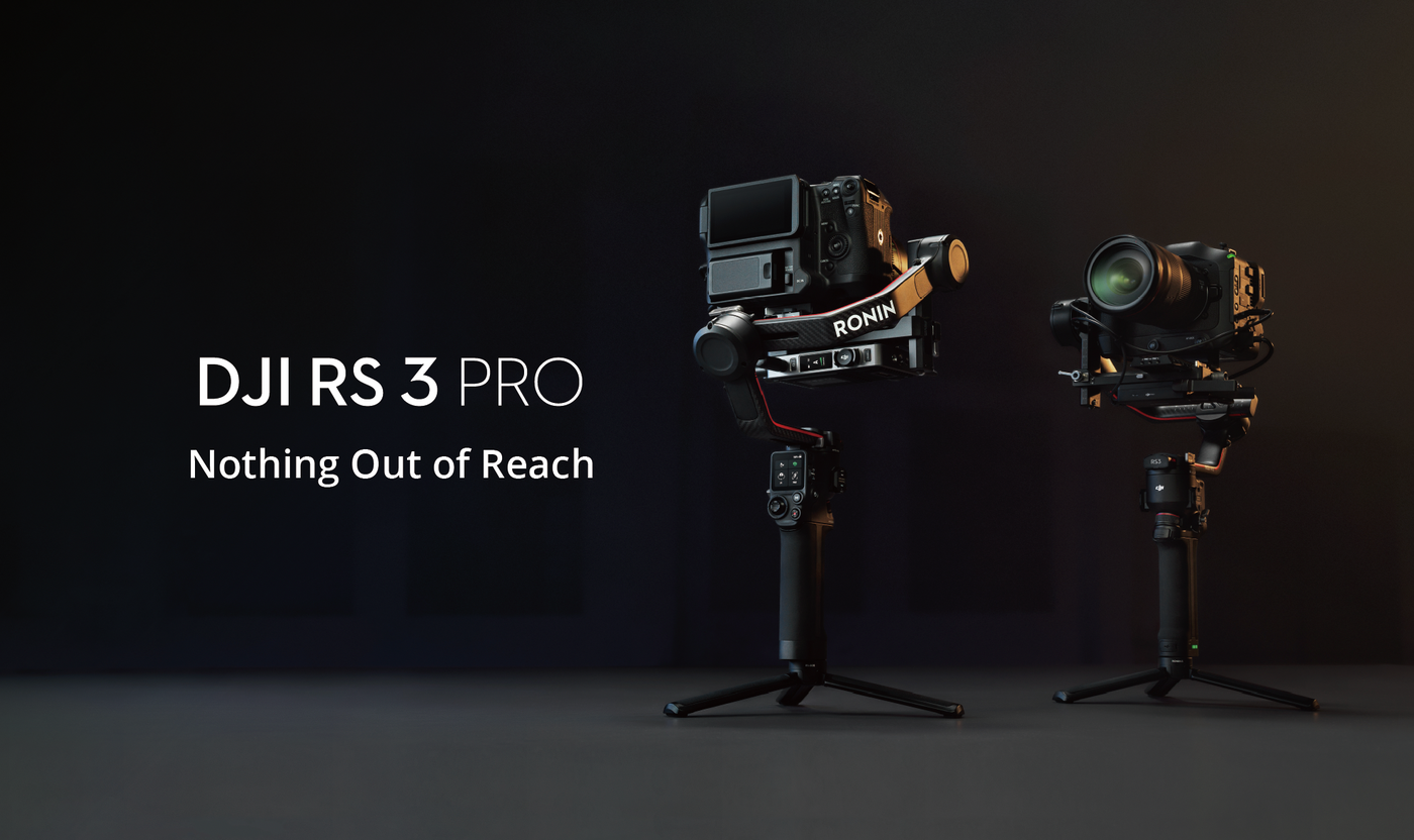 RS 3