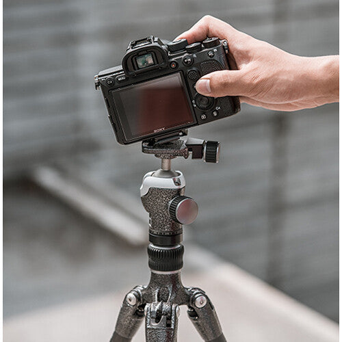 PGYTECH Beetle Camera Clip