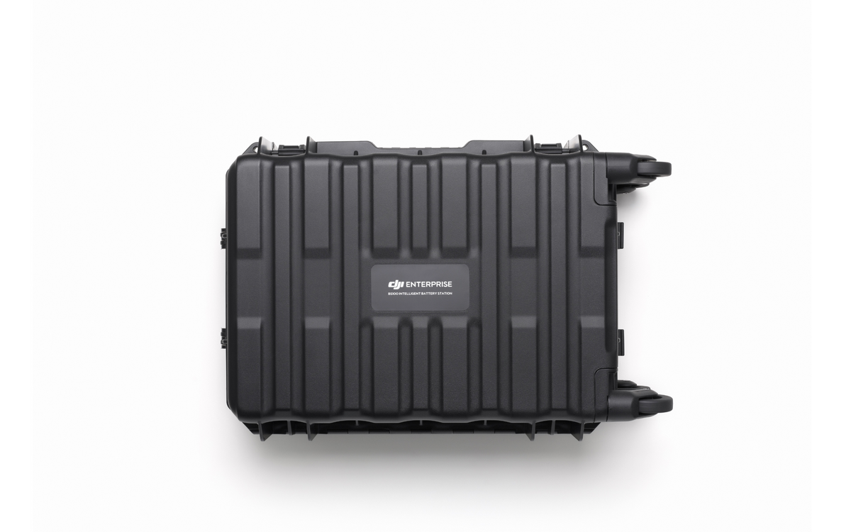 BS100 Intelligent Battery Station