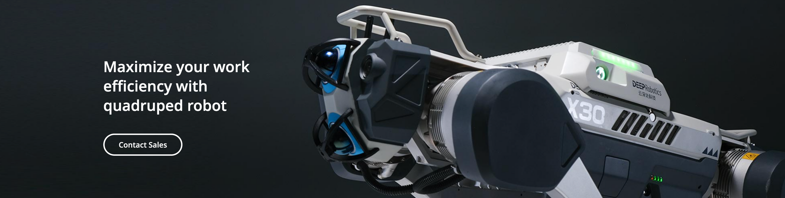 Deep Robotics